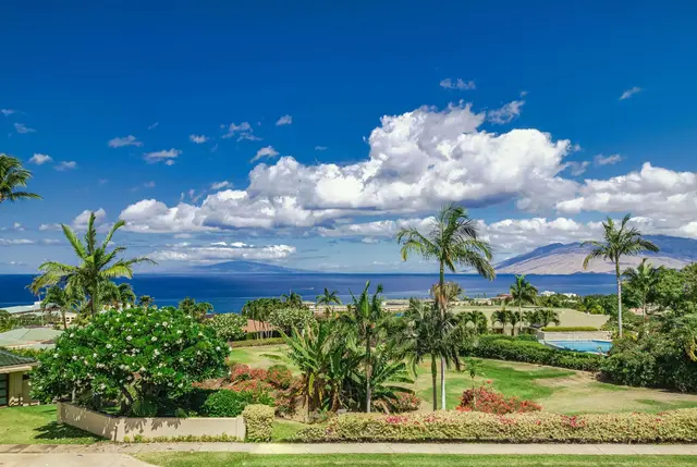 Listing Image for 3977 Wailea Ekolu Pl 3 of 19