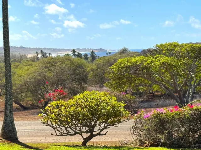 Listing Image for 50 Kepuhi Pl 110 17 of 22
