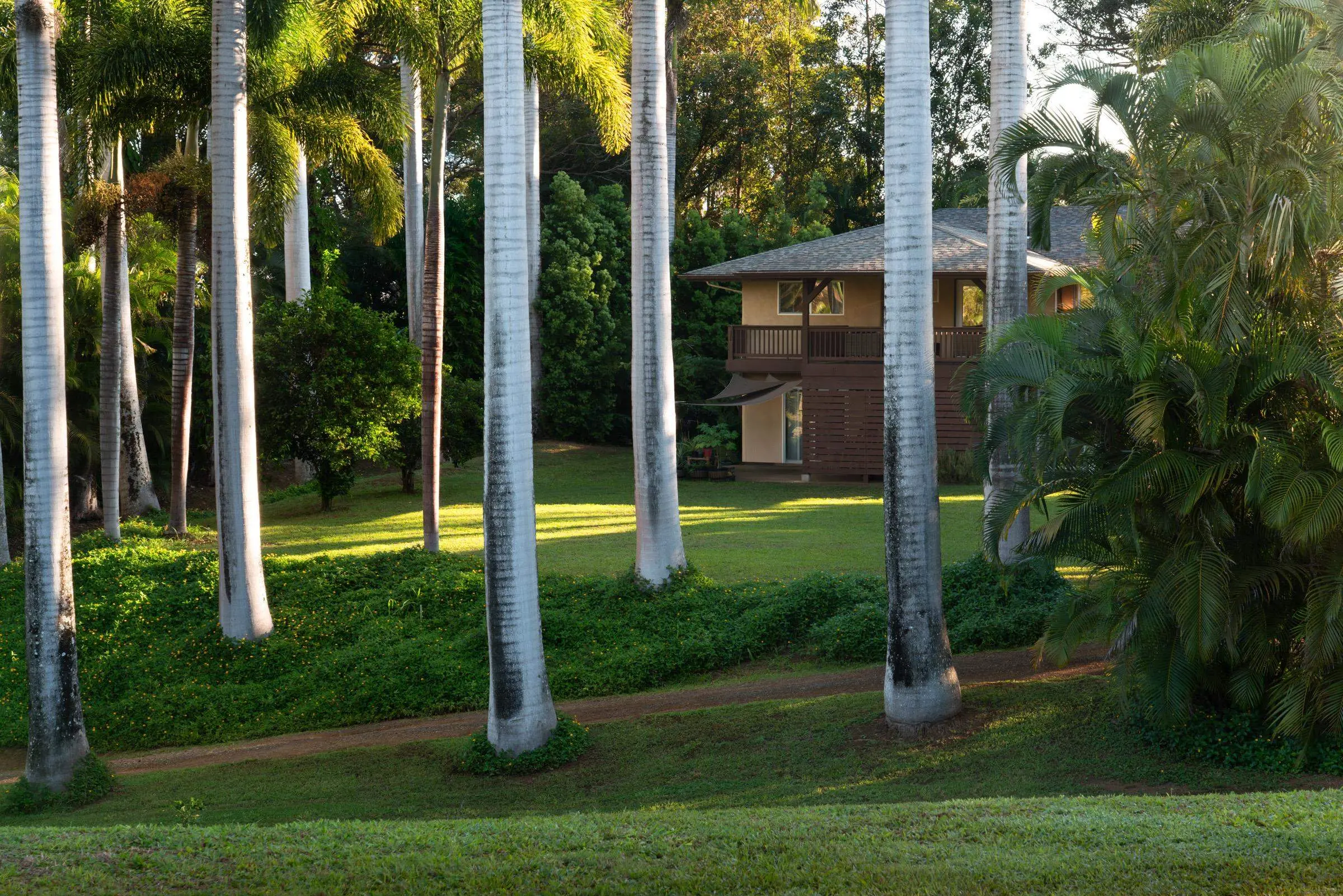 Photo of Listing #408204