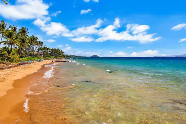 Listing Image for 2994 S Kihei Rd 104 5 of 48