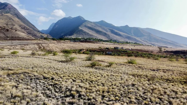 Listing Image for 814 Honoapiilani Hwy 22-c 12 of 15