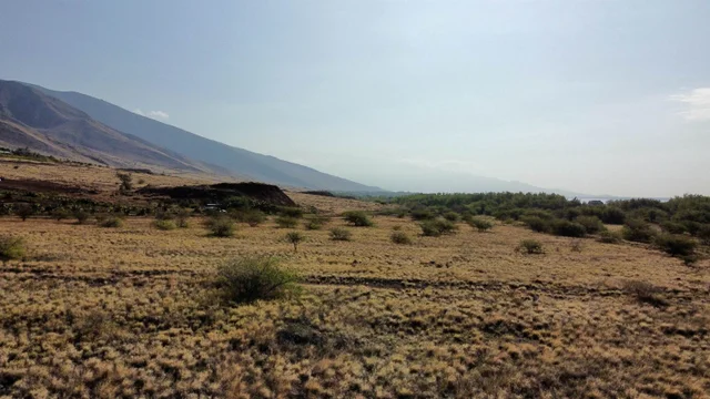 Listing Image for 814 Honoapiilani Hwy 22-c 13 of 15