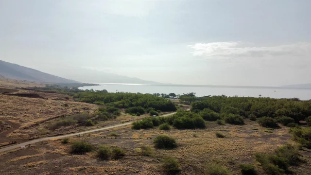 Listing Image for 814 Honoapiilani Hwy 22-c 14 of 15