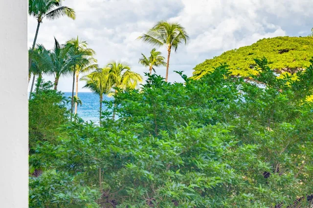 Listing Image for 3445 Lower Honoapiilani Rd 322 9 of 48