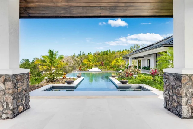 Listing Image for 710 Mahana Ridge St Lot 46 22 of 50