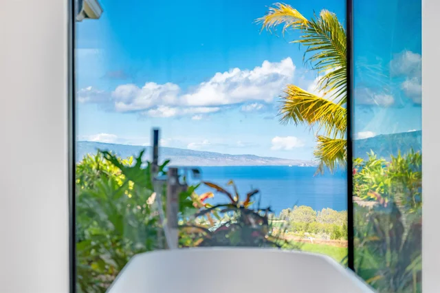 Listing Image for 710 Mahana Ridge St Lot 46 33 of 50