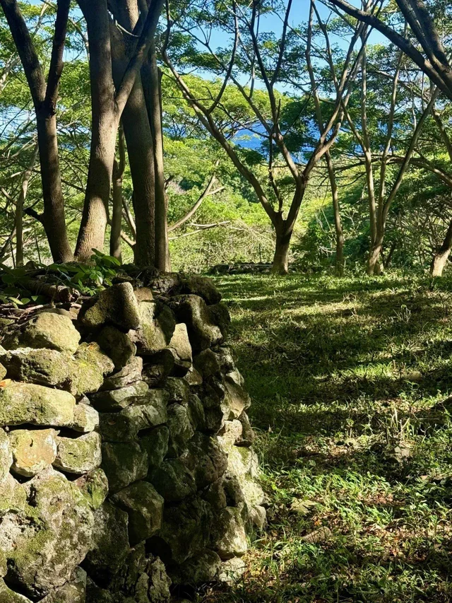 Listing Image for 0 Hana Hwy 9 of 24