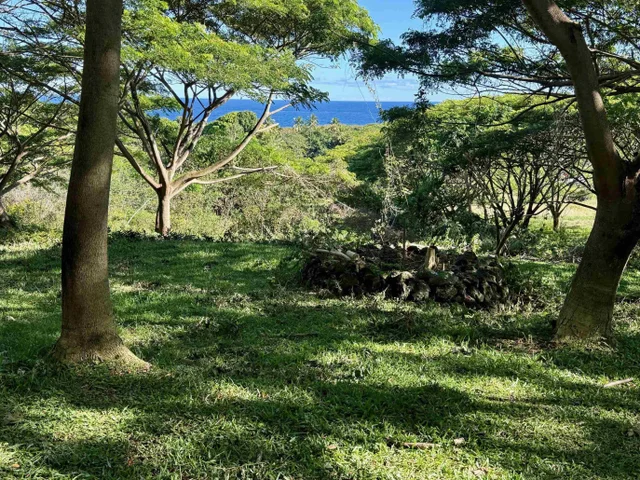 Listing Image for 0 Hana Hwy 10 of 24