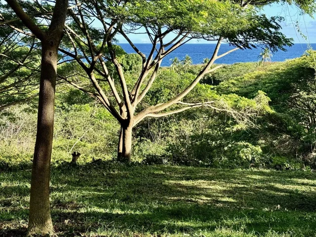 Listing Image for 0 Hana Hwy 11 of 24