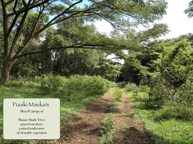 Listing Image for 0 Hana Hwy 18 of 24