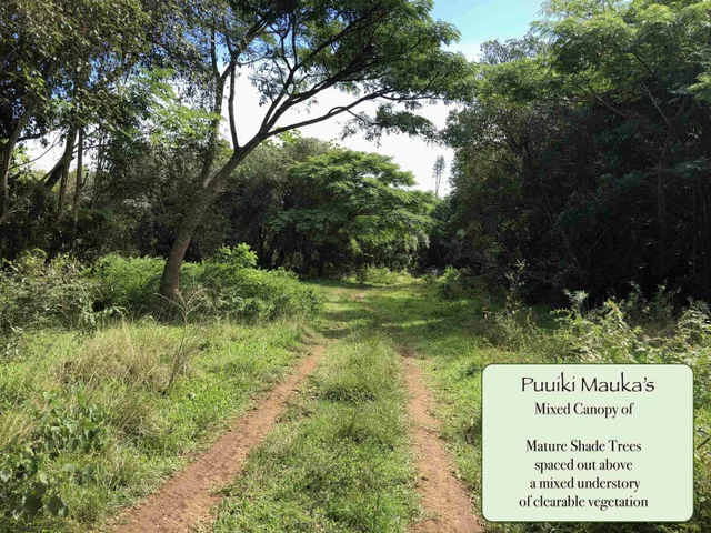 Listing Image for 0 Hana Hwy 19 of 24