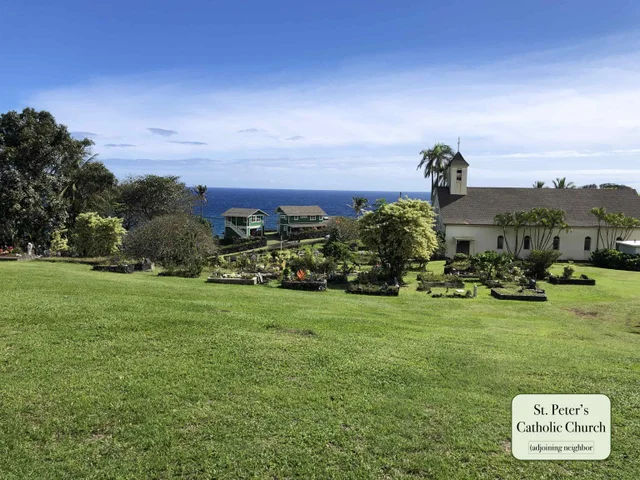 Listing Image for 0 Hana Hwy 20 of 24