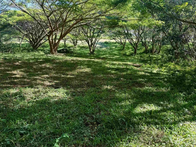 Listing Image for 0 Hana Hwy 6 of 24