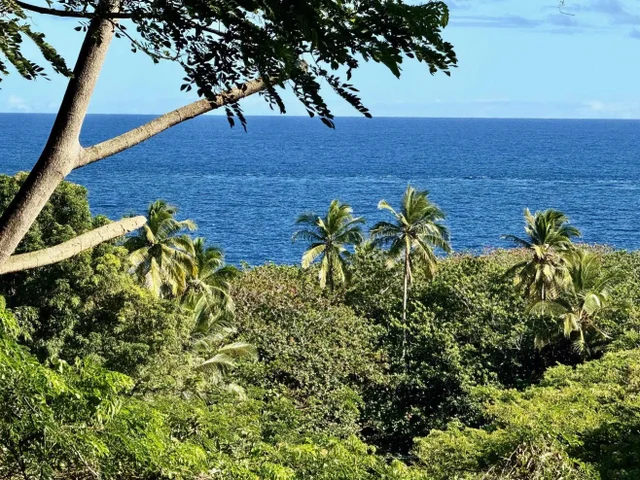 Listing Image for 0 Hana Hwy 7 of 24