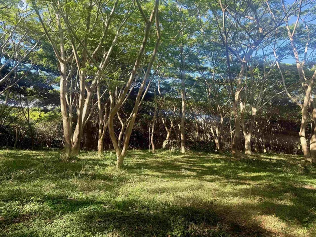 Listing Image for 0 Hana Hwy 8 of 24