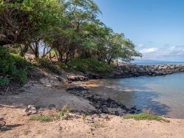 Listing Image for 2777 S Kihei Rd K203 30 of 32