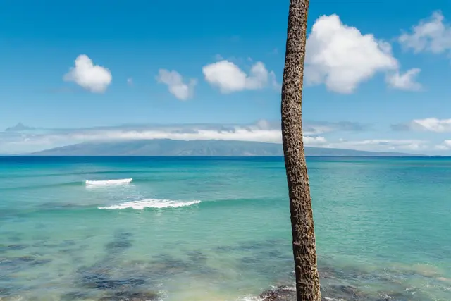 Listing Image for 4095 Lower Honoapiilani Rd 219c 23 of 31