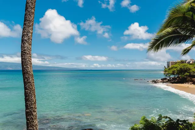 Listing Image for 4095 Lower Honoapiilani Rd 219c 3 of 31