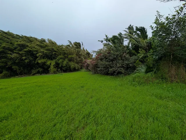 Listing Image for 210 Door Of Faith Rd 36 of 45