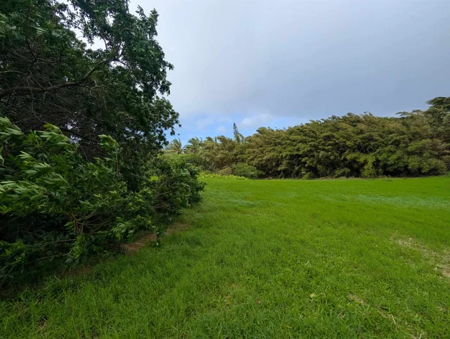 Listing Image for 210 Door Of Faith Rd 37 of 45