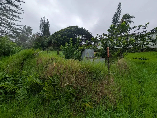 Listing Image for 210 Door Of Faith Rd 38 of 45