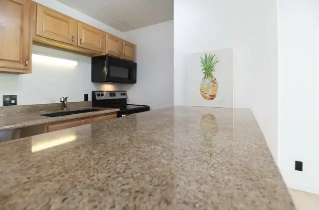 Listing Image for 2136 Konou Pl 206 12 of 19