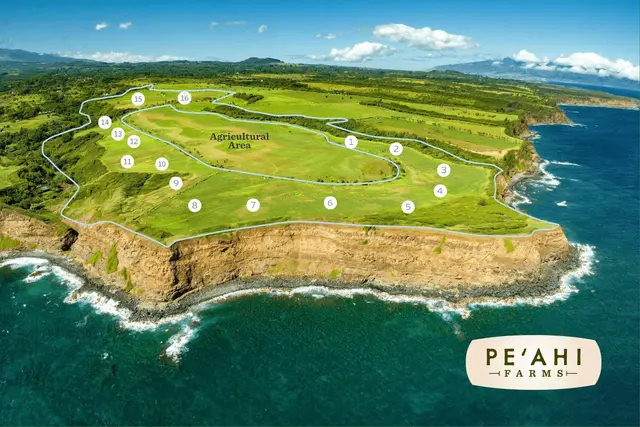 Listing Image for 810 Kai Huki Cir Lot 6 1 of 9