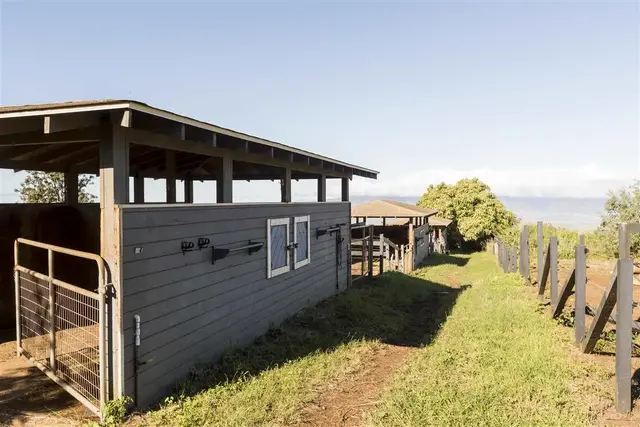 Listing Image for 686 Omaopio Rd 17 of 33