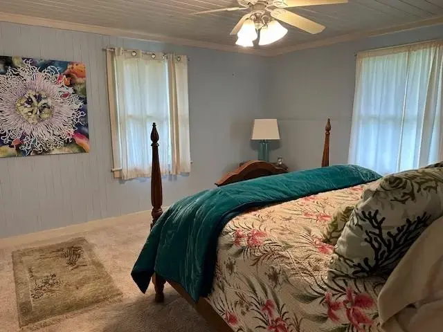 Listing Image for 686 Omaopio Rd 30 of 33