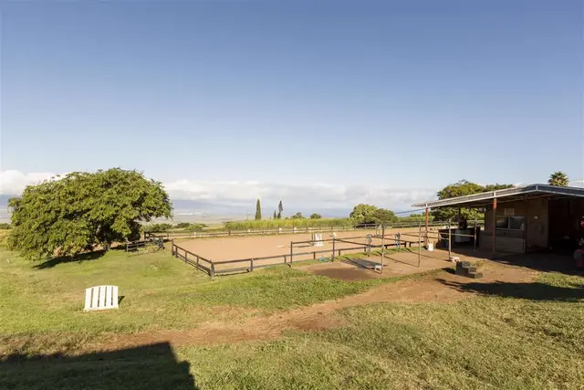 Listing Image for 686 Omaopio Rd 6 of 33