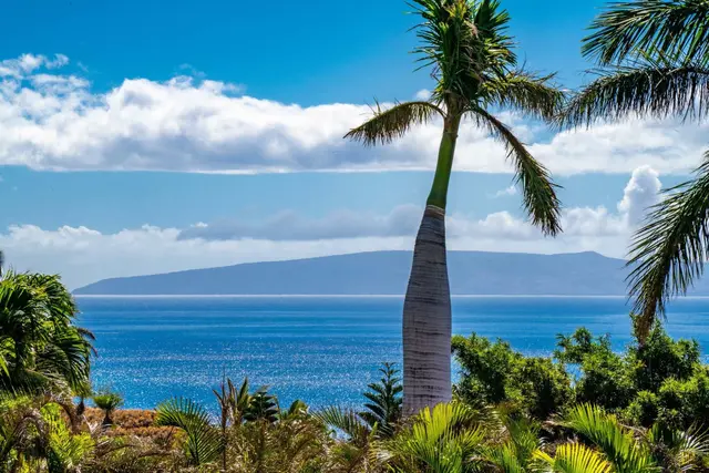 Listing Image for 151 Pua Niu Way A 3 of 50