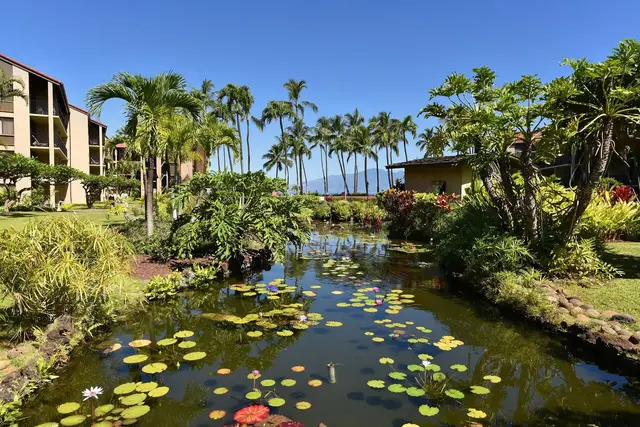 Listing Image for 3543 Lower Honoapiilani Rd B207 32 of 38