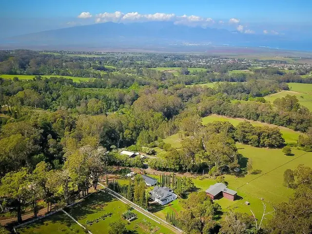 Listing Image for 1065 Piiholo Rd 3 of 30