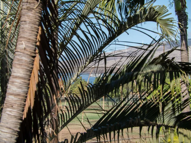 Listing Image for 140 Uwapo Rd 43-204 5 of 21