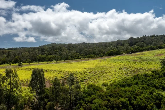 Listing Image for 600 Mahana Ridge St 7 of 8