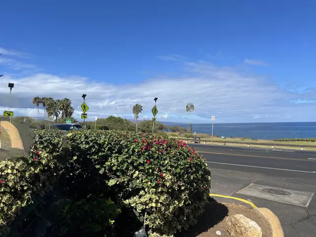 Listing Image for 2747 S Kihei Rd B 106 28 of 28