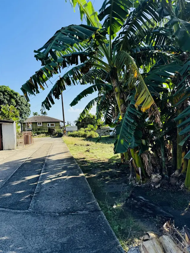 Listing Image for 290 Makua St 25 of 33