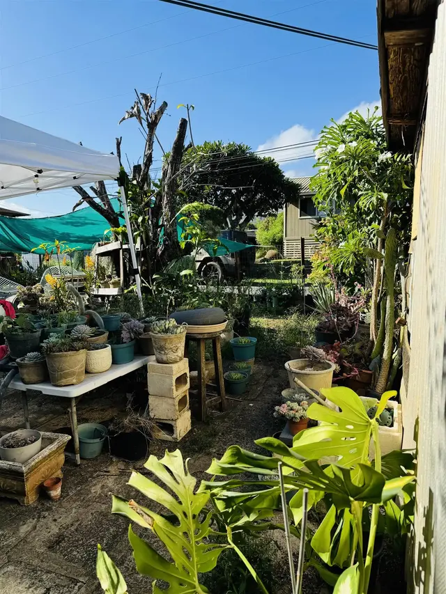 Listing Image for 290 Makua St 30 of 33