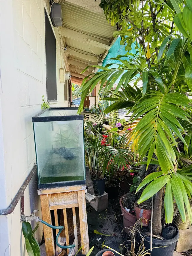 Listing Image for 290 Makua St 33 of 33