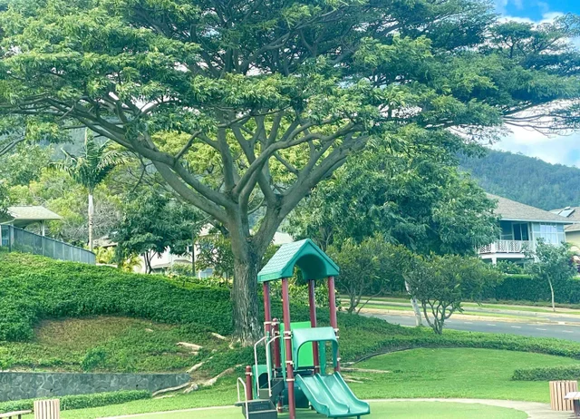 Listing Image for 213 Hooulu Ln 1103 24 of 28