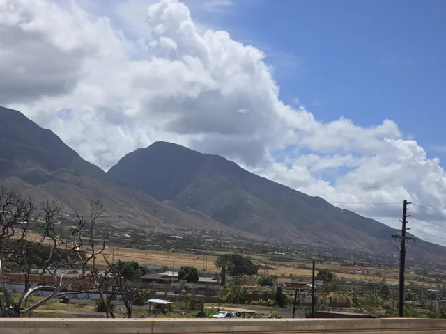 Listing Image for 475 Front St 220 20 of 23