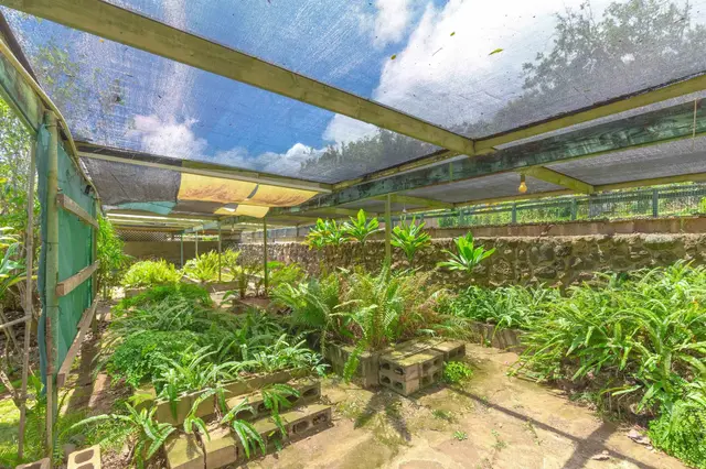 Listing Image for 229 Awapuhi Pl 18 of 26