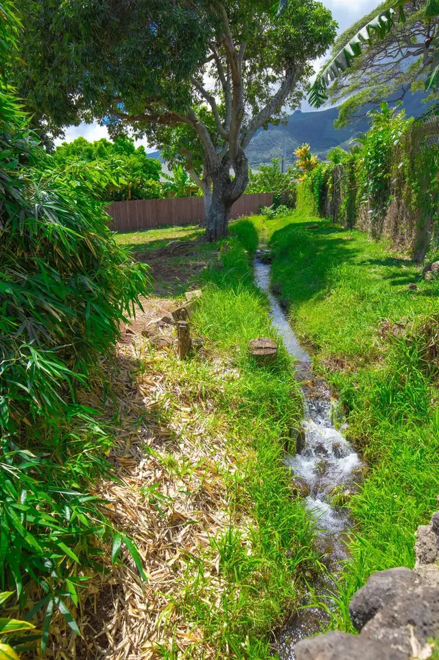 Listing Image for 229 Awapuhi Pl 21 of 26