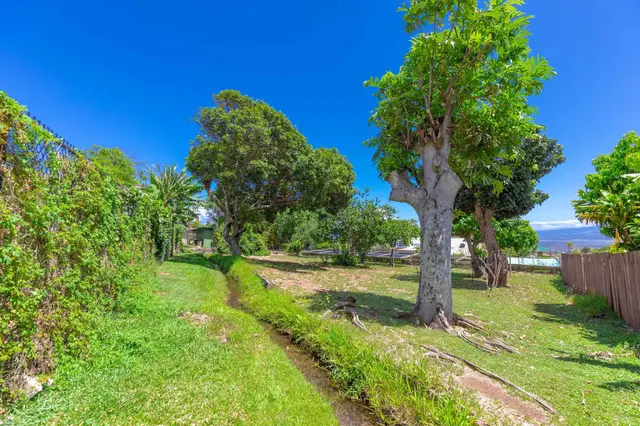 Listing Image for 229 Awapuhi Pl 23 of 26