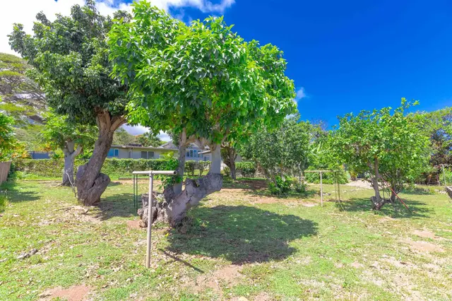 Listing Image for 229 Awapuhi Pl 24 of 26