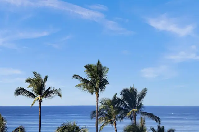 Listing Image for 3300 Wailea Alanui Dr 38d 35 of 45