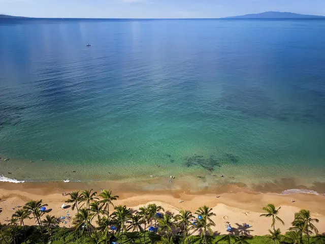 Listing Image for 3300 Wailea Alanui Dr 38d 40 of 45