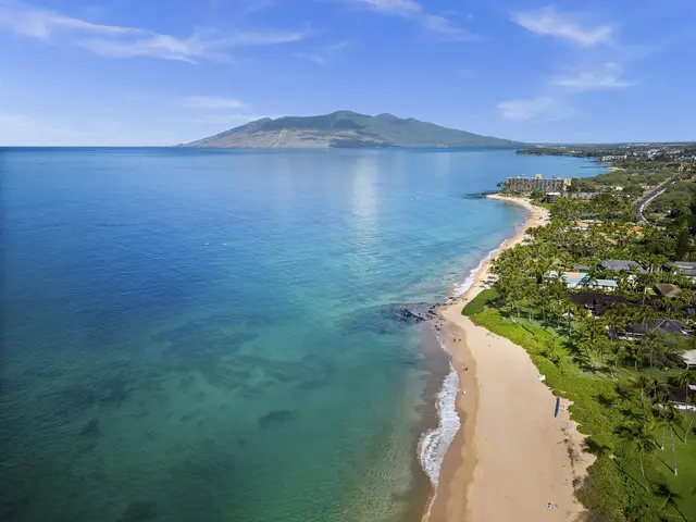 Listing Image for 3300 Wailea Alanui Dr 38d 41 of 45