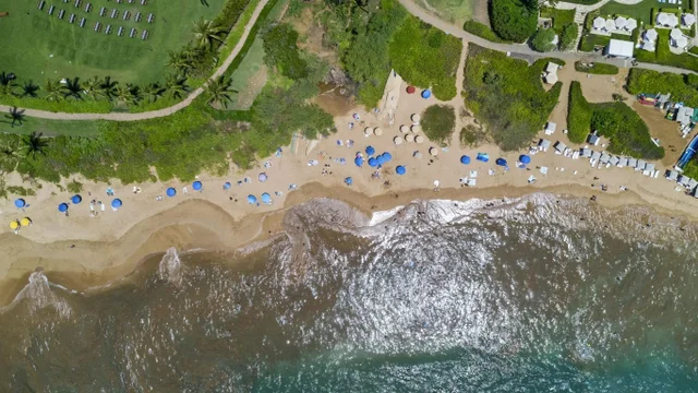 Listing Image for 24 Hoolei Cir T-1 50 of 50