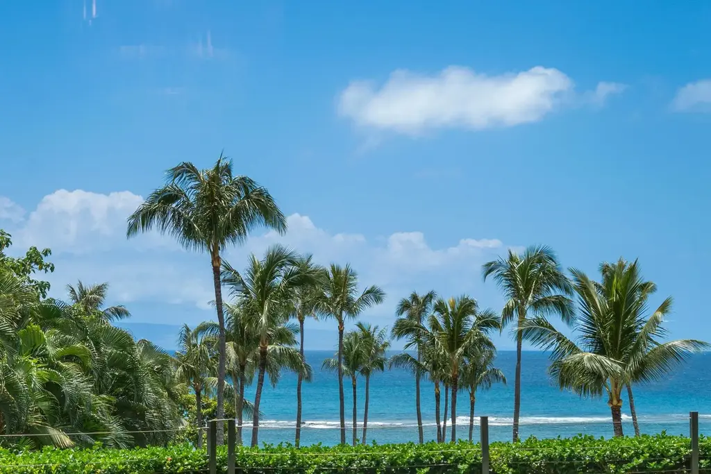 1 Bay Dr 5102, Kapalua